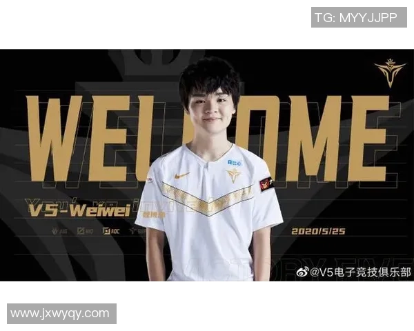 聚焦英雄联盟V5战队个人能力分析与战术配合探讨